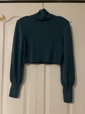 Aritzia Cropped Green Turtleneck Long Sleeve Sweater Size S